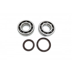 CRANK BEARING SEAL KIT - 09240693 | Dr Rider