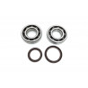 CRANK BEARING SEAL KIT - 09240693 | Dr Rider