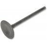 VALVE EX STEEL DRZ/LTZ400 - 09260147
