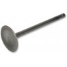 VALVE IN STEEL XR600R+FMX650 - 09260150 | Dr Rider
