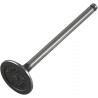 VALVE EX STEEL CRF230F+CRF150F - 09260670 - Dr Rider