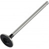 VALVE EX STEEL XR250R 96-04 - 09260673 | Dr Rider