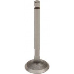 VALVE EX STEEL TTR/YBR125 - 09260678 - Dr Rider