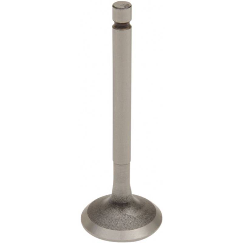 VALVE EX STEEL TTR/YBR125 - 09260678 - Dr Rider