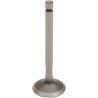 VALVE EX STEEL TTR/YBR125 - 09260678 - Dr Rider