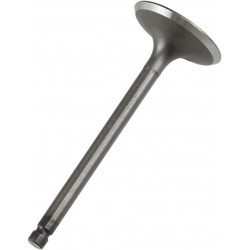VALVE IN STEEL YFM350R 87-12 - 09260681 - Dr Rider