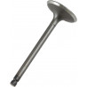 VALVE IN STEEL YFM350R 87-12 - 09260681 - Dr Rider
