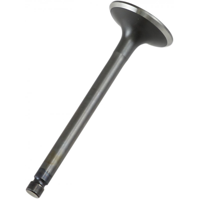 VALVE EX STEEL XT/TT/TTR600 - 09260682