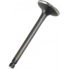 VALVE EX STEEL XT/TT/TTR600 - 09260682