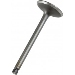 VALVE IN STEEL XT/TT/TTR600 - 09260683
