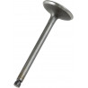 VALVE IN STEEL XT/TT/TTR600 - 09260683