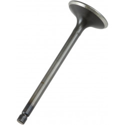 VALVE EX STEEL RAPTOR/GRIZZLY - 09260684 | Dr Rider