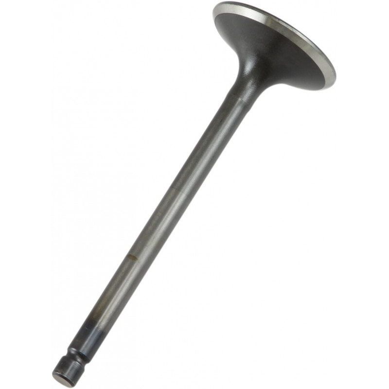 VALVE EX STEEL RAPTOR/GRIZZLY - 09260684 | Dr Rider