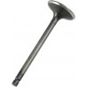 VALVE EX STEEL RAPTOR/GRIZZLY - 09260684 | Dr Rider