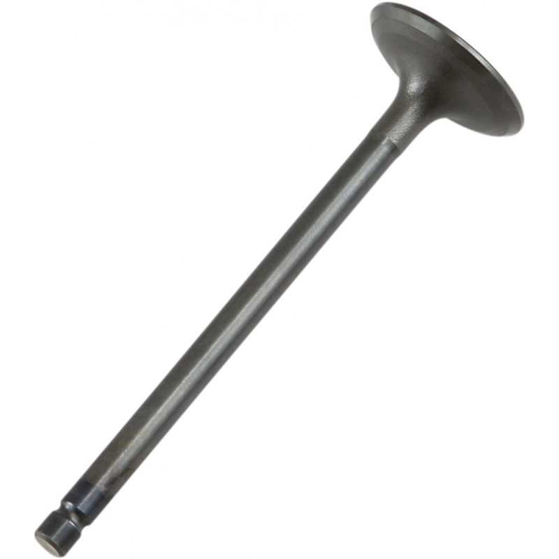 VALVE IN STEEL RAPTOR/GRIZZLY - 09260685 | Dr Rider