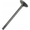VALVE IN STEEL RAPTOR/GRIZZLY - 09260685 | Dr Rider