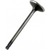 VALVE EX STEEL RAPTOR/GRIZZLY - 09260686 | Dr Rider