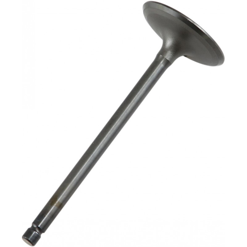 VALVE IN STEEL RAPTOR/GRIZZLY - 09260687 | Dr Rider