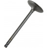 VALVE IN STEEL RAPTOR/GRIZZLY - 09260687 | Dr Rider