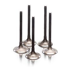 VALVE IN STEEL XT/TTR+MAJESTY - 09260816 - Dr Rider