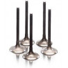 VALVE IN STEEL XT/TTR+MAJESTY - 09260816 - Dr Rider