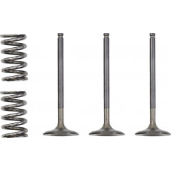 VALVE IN/SPRING KIT YZ/WR450F - 09261024