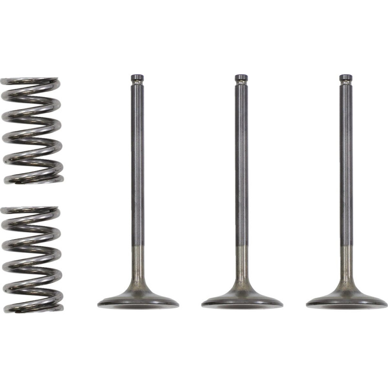 VALVE IN/SPRING KIT YZ/WR450F - 09261024