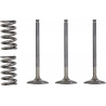 VALVE IN/SPRING KIT YZ/WR450F - 09261024
