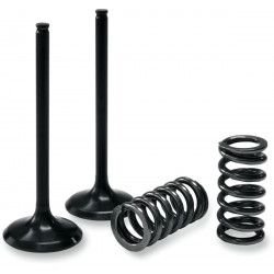 VALVE IN/SPRING KX450F/KFX450R - 09261031 | Dr Rider