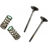 VALVE EX/SPRING KIT YZ/WR250F - 09261455 | Dr Rider
