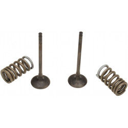 VALVE EX/SPRING KIT RM-Z250 - 09261456