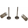 VALVE EX/SPRING KIT RM-Z250 - 09261456