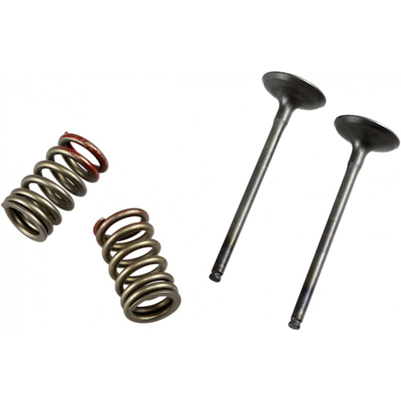 VALVE EX/SPRING KX250F+RMZ250 - 09261457 | Dr Rider