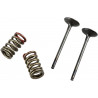 VALVE EX/SPRING KX250F+RMZ250 - 09261457 | Dr Rider