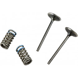 VALVE IN/SPRING KIT CRF250R - 09261459 | Dr Rider