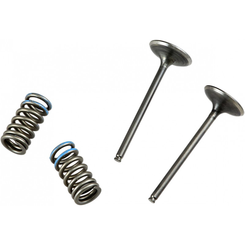 VALVE IN/SPRING KIT CRF250R - 09261459 | Dr Rider