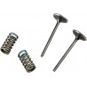 VALVE IN/SPRING KIT CRF250R - 09261459 | Dr Rider