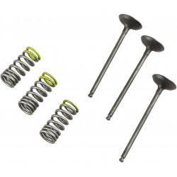 VALVE IN/SPRING KIT YZ/WR250F - 09261460 | Dr Rider