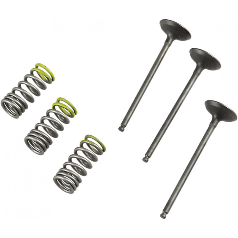VALVE IN/SPRING KIT YZ/WR250F - 09261460 | Dr Rider