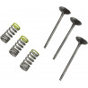 VALVE IN/SPRING KIT YZ/WR250F - 09261460 | Dr Rider