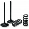VALVE IN/SPRING KIT YZ/WR250F - 09261460 | Dr Rider