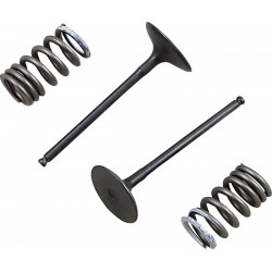 VALVE IN/SPRING KIT RM-Z250 - 09261461