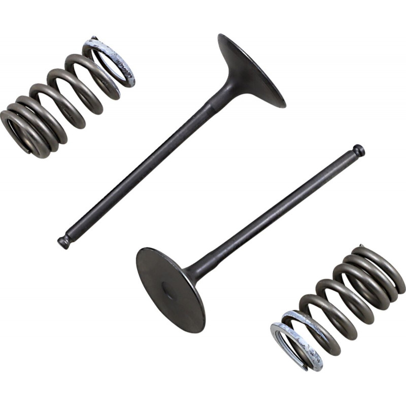 VALVE IN/SPRING KIT RM-Z250 - 09261461
