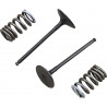 VALVE IN/SPRING KIT RM-Z250 - 09261461
