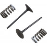 VALVE IN/SPRING KIT RM-Z250 - 09261461