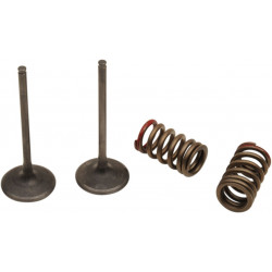 VALVE IN/SPRING KX250F+RMZ250 - 09261462 | Dr Rider