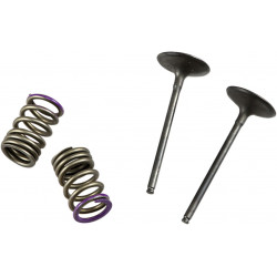 VALVE IN/SPRING KIT KX250F - 09261463 | Dr Rider