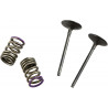 VALVE IN/SPRING KIT KX250F - 09261463 | Dr Rider