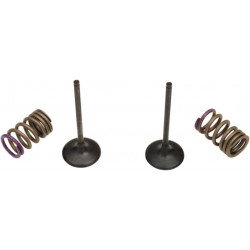 VALVE IN/SPRING KIT KX250F - 09261464 | Dr Rider
