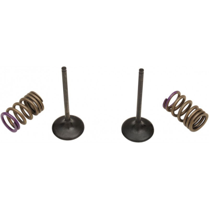 VALVE IN/SPRING KIT KX250F - 09261464 | Dr Rider